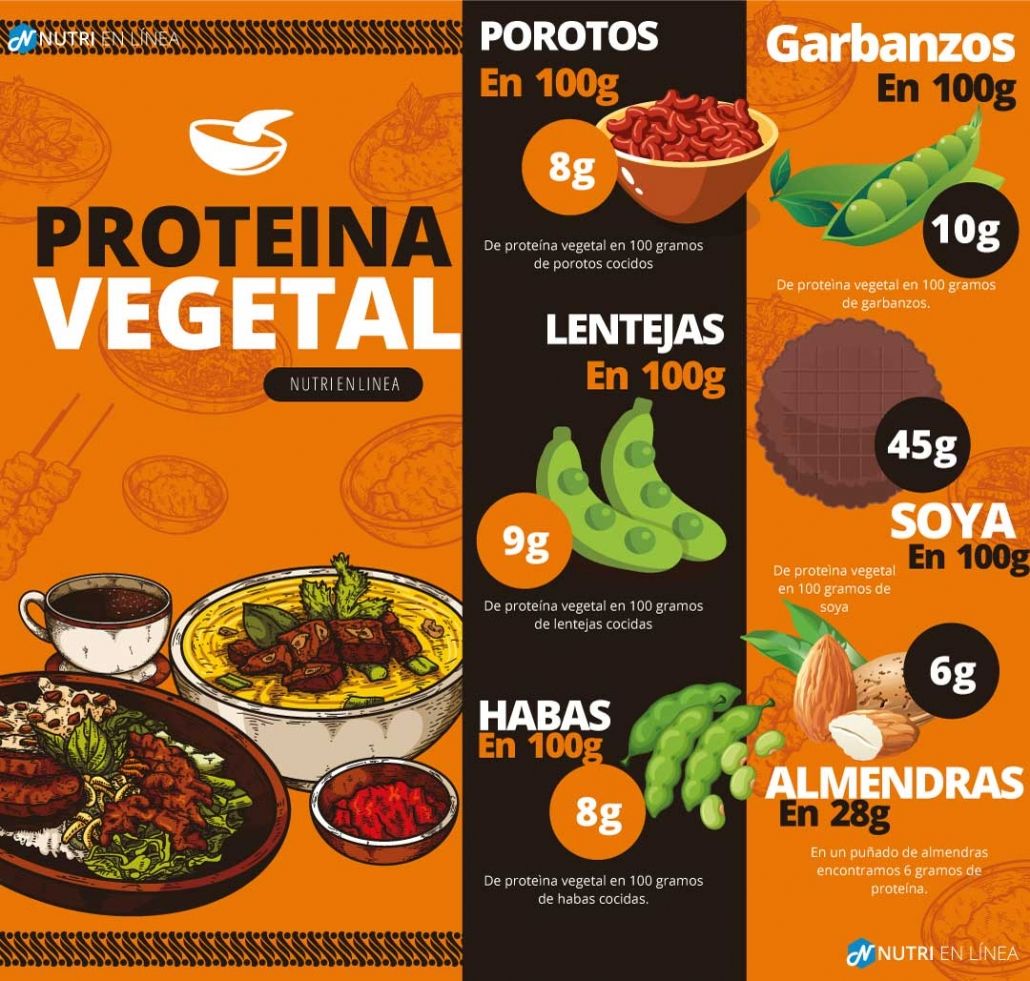 Proteina vegetal